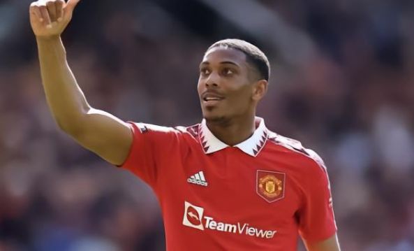 他们不仅大 他们不仅大