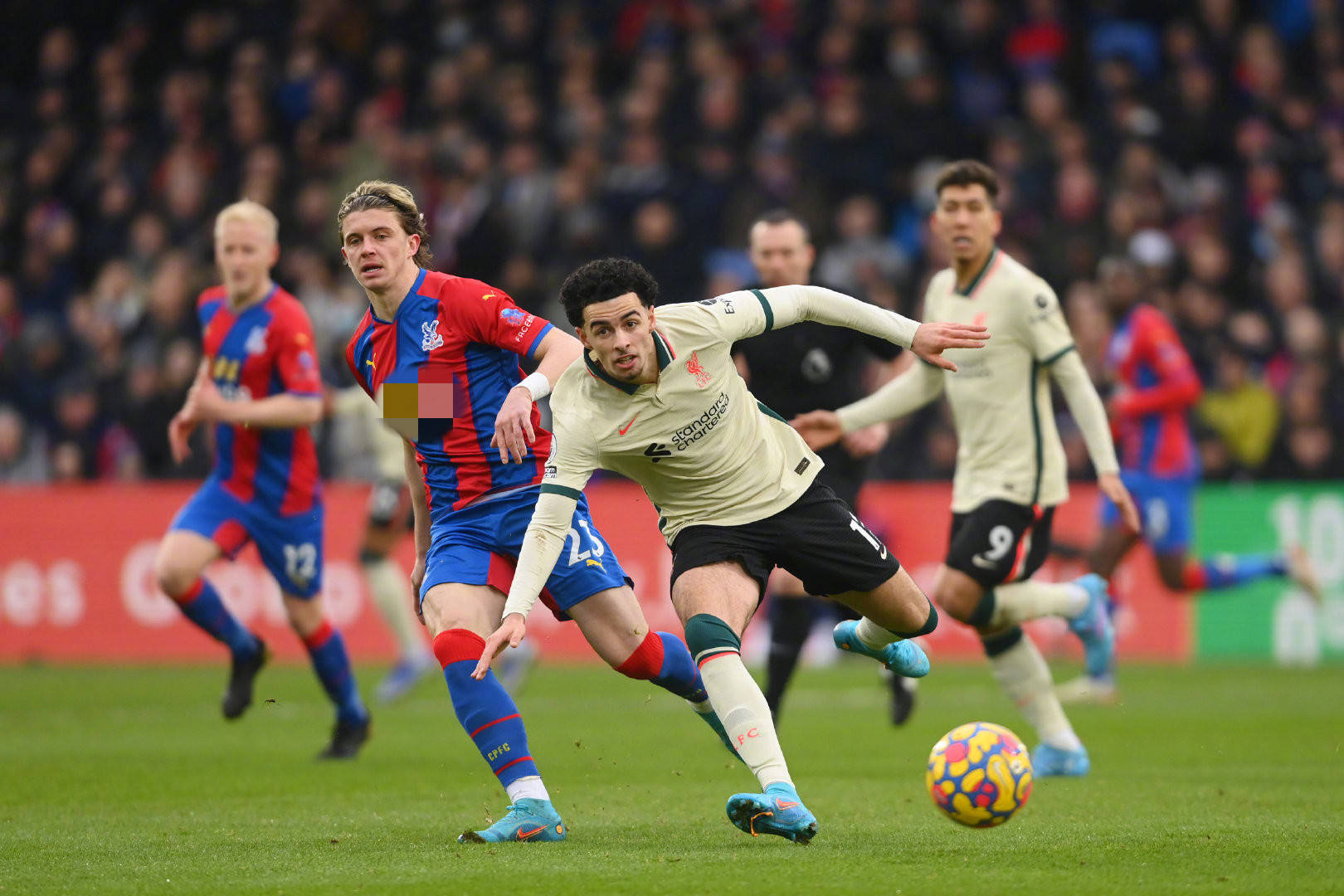 這一條款被 這一條款被